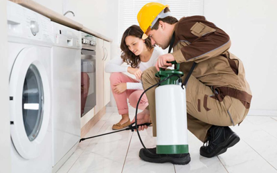 Professionals For Effective Pest Control